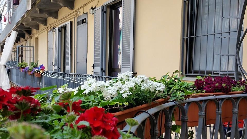 Al Piperita Bed and Breakfast Τορίνο Εξωτερικό φωτογραφία